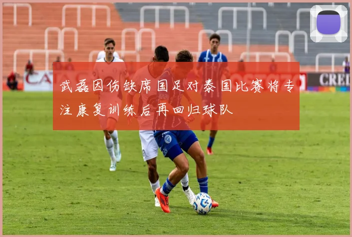武磊因伤缺席国足对泰国比赛将专注康复训练后再回归球队